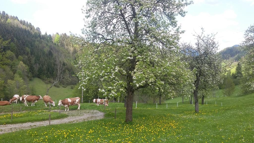 Eggbauer Villa Sankt Anton an der Jessnitz Exterior foto